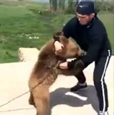 Maybe you would like to learn more about one of these? Khabib Nurmagomedov Vs Bear Part 2 This Time As An Adult