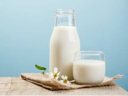 In fact, some researchers are even using this milk to reduce the amount of insulin needed: 7 Surprising Nutritional Benefits Of Camel Milk Organic Facts