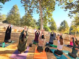 Relevance date distance most popular when all future dates next 7 days next 3 months next 6 months. Yoga On The Mountain 29 Feb 2020