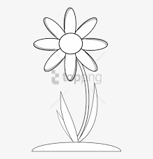 Koleksi oleh the secret garden. Free Png Download Gambar Bunga Di Buku Gambar Png Images Anthony Nolan Daisy Logo Png Image Transparent Png Free Download On Seekpng