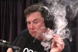 Elon Musk Smoking Weed Meming Wiki