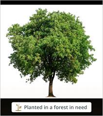 Rev. Dr. Charles Edward Kimbrough Obituary March 1, 2025