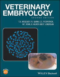Image result for Embryology