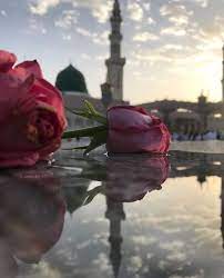 pin by eshab on flowers make me happy islamic pictures pictures background pictures