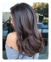 This brown shade can look equally good on raven black or dark brown hair. Long Hair Color Highlights For Black Hair Novocom Top