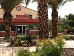 Camping Le Bois Fleuri Hotel A Argeles Sur Mer In 2020 Hotel Tree Plants