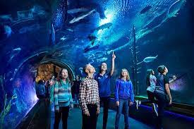 Check spelling or type a new query. A Shrine To Morris S Ego Review Of Johnny Morris Wonders Of Wildlife National Museum And Aquarium Springfield Mo Tripadvisor