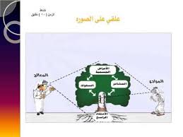 حقيبة تدريبية استخدام فنيات العلاج المعرفي السلوكي في حل مشكلات الطالبات Youtube