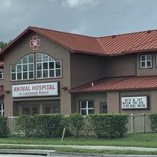 Vaccinations clinic in bradenton, fl. Animal Hospital At Lakewood Ranch 10 Photos 18 Reviews Pet Groomers 9115 58th Dr E Bradenton Fl Phone Number Yelp