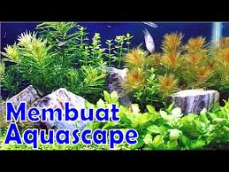 Jenis tanaman aquascape tanpa co2 berikutnya, yaitu lilaeopsis. Aquascape Tutorial Building A Simple Aquascape Youtube