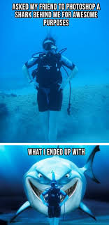 55 Diving Humor Ideas Humor Diving Bones Funny