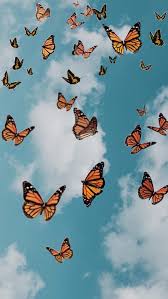 Aesthetic home screen cute wallpaper aesthetic iphone organization written by macpride sunday, february 9,. Butterfly Wallpaper Aesthetic Wallpaper Novocom Top