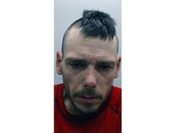 Sarnia man jailed for crime spree and given cautionary tale