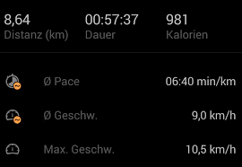 Gerät war ein sony xperia z, bedeckter himmel, keine tunnel, handy in der oberschenkeltasche. Runtastic Alltagstauglichkeitstest