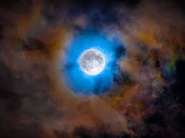 Cory Poole (@corypoolephotography) • Instagram photos and videos