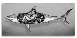 Quints Revenge Paul Jackson Surf Drawing Shark Tattoos