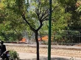 Αναστάτωση προκλήθηκε το πρωί στο πεδίον του άρεως από φωτιά που ξέσπασε σε σκουπίδια, στο σημείο που έχουν κατασκηνώσει πρόσφυγες. Kjixinqyejayvm