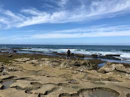 Best Things To Do In La Jolla California Wannabe World