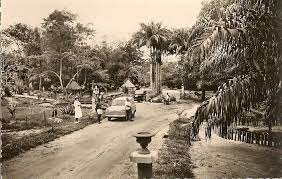 Pointe Noire Congo Moyen Congo Jardin D Essai Et Zoo Paysage De Campagne Congo Carte Postale