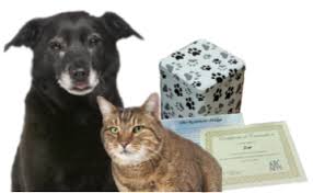 Pet Cremation Service Galveston County Health District