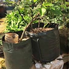 The list of things you'll need: Home Garden Diy Potato Grow Planter Pe Cloth Planting Container Bags Thicken Garden Yard Pot Yard Garden Outdoor Living