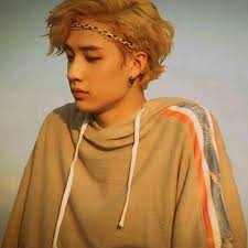 Stray Kids Everywhere All Around The World Stray Kids Chan Stray Hair