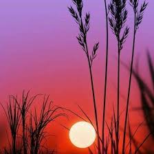 Maybe you would like to learn more about one of these? Ucapan Selamat Kepada Teman Yang Telah Khatam Al Quran Brainly Co Id