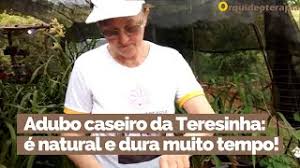 Discount for cheap bimba mode: Receita Viagra Para Orquideas Generico Sao Paulo