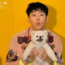 Yeah That S Block B Nyaaaaaw 2 Puppies Zico Block B Zico Block B