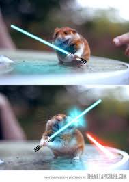 Jedi Hamster Funny Hamsters Cute Funny Animals Cute Animal Photos