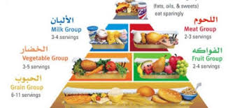 العناصر الغذائية التي يحتاجها الجسم حياتك