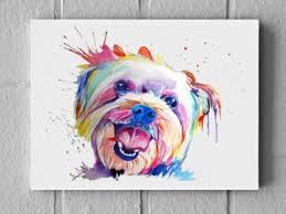 Check spelling or type a new query. Large Colorful Custom Pet Portrait Watercolor Painting On Canvas Rainbow Dog Or Cat Illustration Dog Watercolor Painting Watercolor Dog Custom Pet Portraits