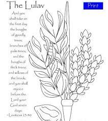 Together with the lulav, hadass, and aravah, the etrog is taken in hand and held or waved during specific portions of the holiday prayers. Pin By Juliab On Celebrate Sukkot Sukkot Sukkot Crafts Feast Of Tabernacles