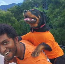 Kevin Alfred (@kev.mov) • Instagram photos and videos