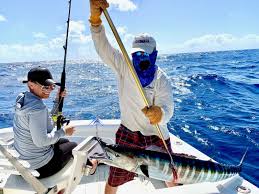 We did not find results for: Parguera Fishing Charters Discover Puerto Rico