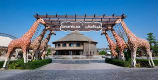 Situated in the middle of the desert in al warqaa, the wildlife facility houses an expanded community of 3,000 birds, mammals, invertebrates and. Dubai Safari In Pictures And Everything We Know So Far Baby Child Uae Parenting Magazine