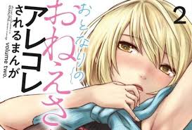 Otonari no onee-san ni arekore sareru 2 comic manga Kazuhiko Sadakiyo  Japanese | eBay