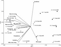 Image result for Oxycaryum