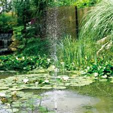 Pompe Solaire Bassin 500 Pond Water Home Decor