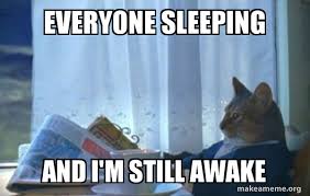 Everyone Sleeping And I M Still Awake Sophisticated Cat Make A Meme