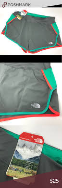 Nwt The North Face Large Gtd Running Shorts Lining Nwt