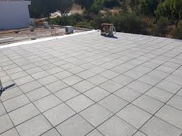 Image result for Monosis