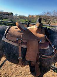 With 150 years of combined saddle making skills, cactus saddlery as with all our manufacturers, cactus saddles pass our saddle expert 10 point inspection test for quality. Saddles What The Pros Are Riding The Team Roping Journal