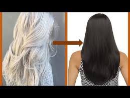 How To Turn Grey Hair Into Black Hair Naturally Get Rid Of Grey Hair Naturally In 7 Days Hair Hacks Youtube Dyed White Hair Dyed Hair Thick Hair Styles