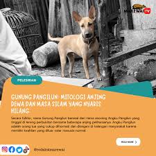 Pelesiran: Mitologi Anjing Dewa dan Masa Silam yang Nyaris Hilang di Gunung  Pangilun | Arif Purnama Putra - Redaksi Marewai