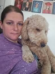 Why is my golden doodle glued to me?