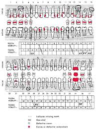 Veterinary Dental Charting Symbols Www Bedowntowndaytona Com