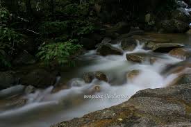 Maybe you would like to learn more about one of these? Titi Kerawang
