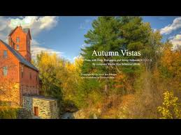 Martin Max Schreiner