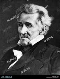 Image result for President Jackson